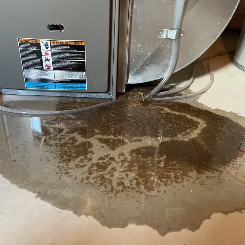 Appliance Leak Cleanup in Johnston County, OK